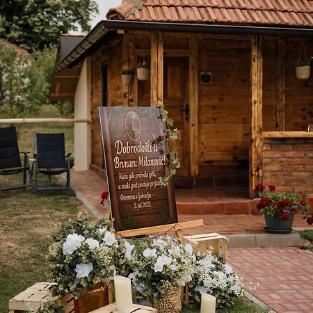Casa vacanze Kuca Za Odmor Brvnara Milanovic *
